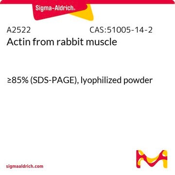 Actin from rabbit muscle &#8805;85% (SDS-PAGE), lyophilized powder