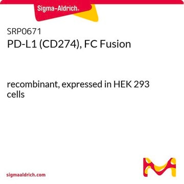 PD-L1 (CD274), FC Fusion recombinant, expressed in HEK 293 cells