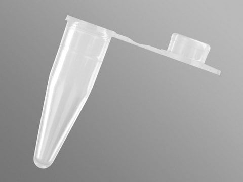 PCRチューブ、平坦キャップ付き thin wall, size 0.2&#160;mL, pkg of 10x1000tubes/cs, clear