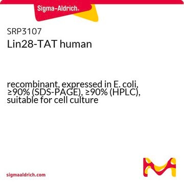 Lin28-TAT human recombinant, expressed in E. coli, &#8805;90% (SDS-PAGE), &#8805;90% (HPLC), suitable for cell culture