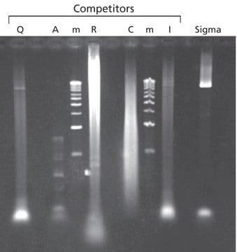 JumpStart&#8482; Taq DNA Polymerase without MgCl2