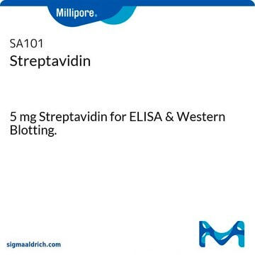 Streptavidin 5 mg Streptavidin for ELISA &amp; Western Blotting.