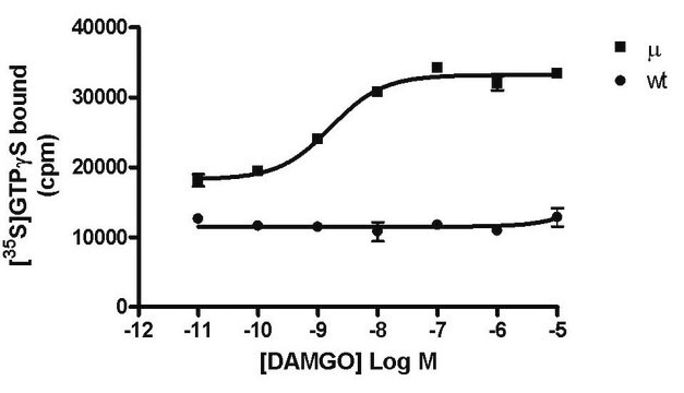 CHEMISCREEN MEMBRANE PREPARATION RECOMBINANT HUMAN &#181; (Mu) OPIOID RECEPTOR Human Mu / OP3 / MOP / MOR GPCR membrane preparation for GTP&#947;S Binding &amp; Radioligand Binding Assays.