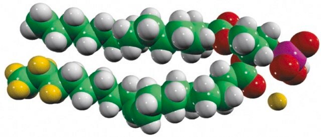 15:0-18:1-d7-PA Avanti Research&#8482; - A Croda Brand