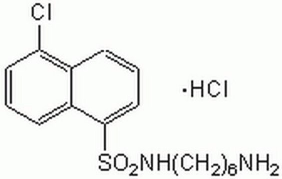 W-7, Hydrochloride A cell-permeable and reversible calmodulin antagonist that inhibits myosin light chain kinase (IC&#8325;&#8320; = 51 &#181;M) and Ca2+-calmodulin-dependent phosphodiesterase (IC&#8325;&#8320; = 28 &#181;M).