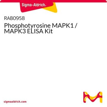 Phosphotyrosine MAPK1 / MAPK3 ELISA Kit