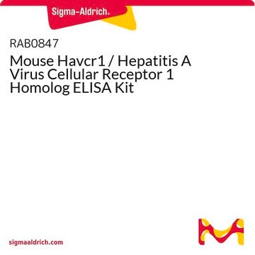 Mouse Havcr1 / Hepatitis A Virus Cellular Receptor 1 Homolog ELISA Kit