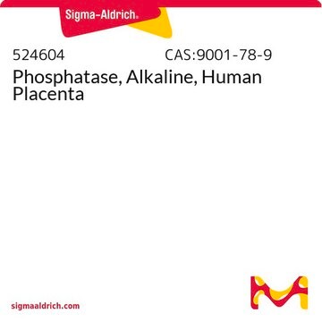 Phosphatase, Alkaline, Human Placenta