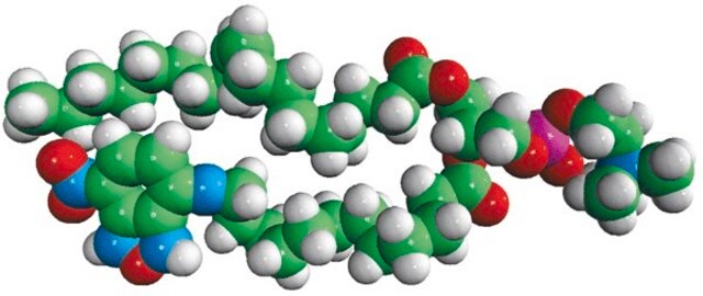 18:1-12:0 NBD PC Avanti Research&#8482; - A Croda Brand 810133P, powder