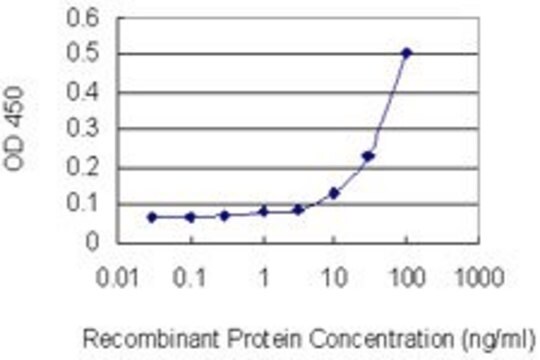 Monoclonal Anti-OLFM1 antibody produced in mouse clone 2E9-1A2, purified immunoglobulin, buffered aqueous solution