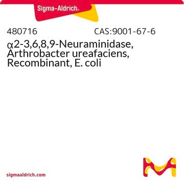 &#945;2-3,6,8,9-Neuraminidase, Arthrobacter ureafaciens, Recombinant, E. coli