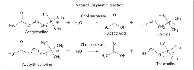 Acetylcholinesterase from Electrophorus electricus (electric eel) Type V-S, lyophilized powder, &#8805;1,000&#160;units/mg protein