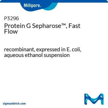 プロテイン&#160;G-セファロース&#8482;4B, 高流速 recombinant, expressed in E. coli, aqueous ethanol suspension