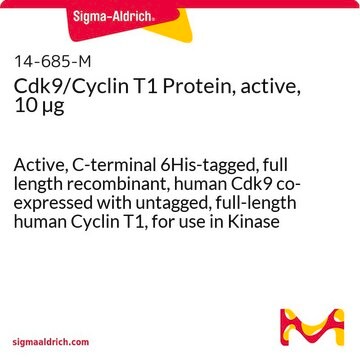 Cdk9/Cyclin T1 Protein, active, 10 &#181;g Active, C-terminal 6His-tagged, full length recombinant, human Cdk9 co-expressed with untagged, full-length human Cyclin T1, for use in Kinase Assays.