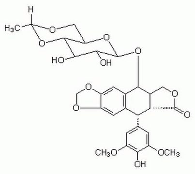 Etoposide A cell-permeable derivative of podophyllotoxin that acts as a topoisomerase II inhibitor (IC&#8325;&#8320; = 59.2 &#181;M) has major activity against a number of tumors, including germ cell neoplasms, small cell lung cancer, and malignant lymphoma.