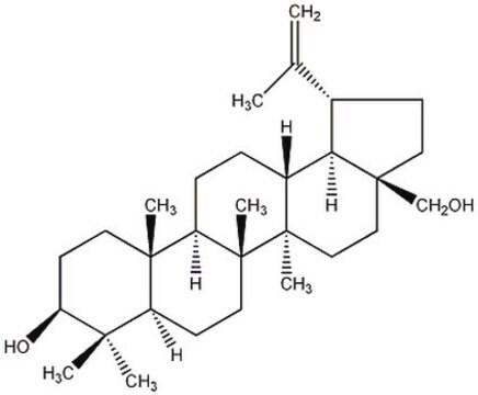 SREBP Processing Inhibitor, Betulin The SREBP Processing Inhibitor, Betulin, also referenced under CAS 473-98-3, controls the biological activity of SCAP (SREBP cleavage activating protein). This small molecule/inhibitor is primarily used for Cell Signaling applications.