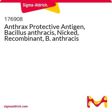 Anthrax Protective Antigen, Bacillus anthracis, Nicked, Recombinant, B. anthracis