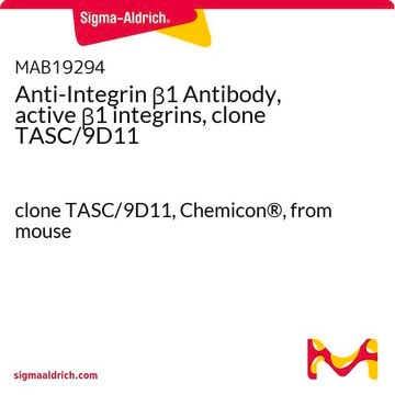 Anti-Integrin &#946;1 Antibody, active &#946;1 integrins, clone TASC/9D11 clone TASC/9D11, Chemicon&#174;, from mouse