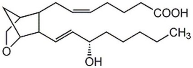 U-46619 Stable thromboxane A&#8322; mimetic and a vasoconstrictor.