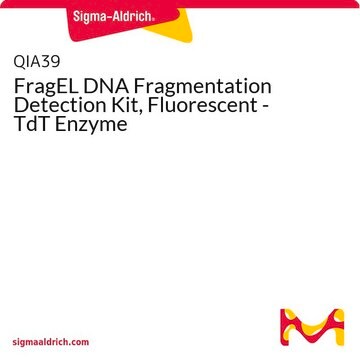 FragEL DNA Fragmentation Detection Kit, Fluorescent - TdT Enzyme