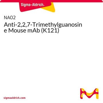 Anti-2,2,7-Trimethylguanosine Mouse mAb (K121)