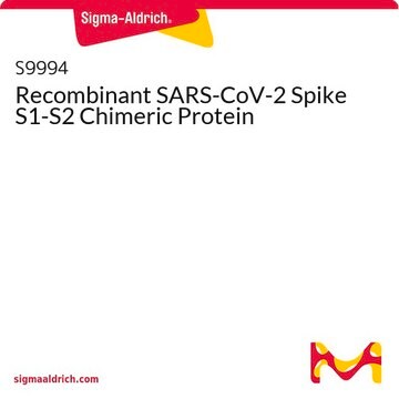 Recombinant SARS-CoV-2 Spike S1-S2 Chimeric Protein