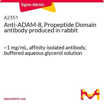 Anti-ADAM-8, Propeptide Domain antibody produced in rabbit ~1&#160;mg/mL, affinity isolated antibody, buffered aqueous glycerol solution