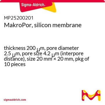 MakroPor, silicon membrane thickness 200&#160;&#956;m, pore diameter 2.5&#160;&#956;m, pore size 4.2&#160;&#956;m (interpore distance), size 20&#160;mm × 20&#160;mm, pkg of 10&#160;pieces