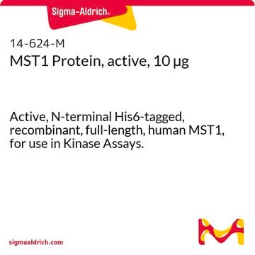 MST1 Protein, active, 10 &#181;g Active, N-terminal His6-tagged, recombinant, full-length, human MST1, for use in Kinase Assays.