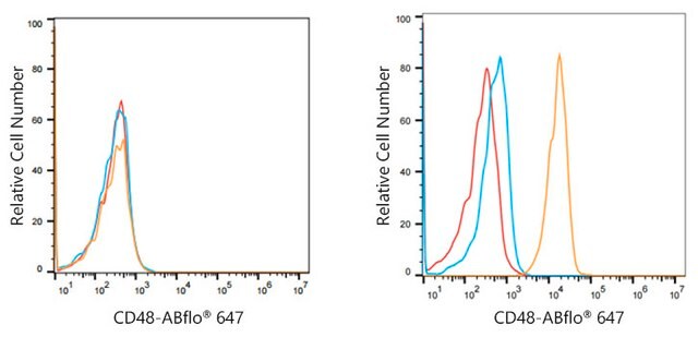 Anti-CD48 Antibody, clone 1B6W3, Rabbit Monoclonal