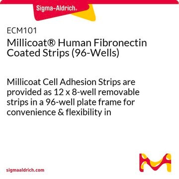 Millicoat&#174; Human Fibronectin Coated Strips (96-Wells) Millicoat Cell Adhesion Strips are provided as 12 x 8-well removable strips in a 96-well plate frame for convenience &amp; flexibility in designing assays.