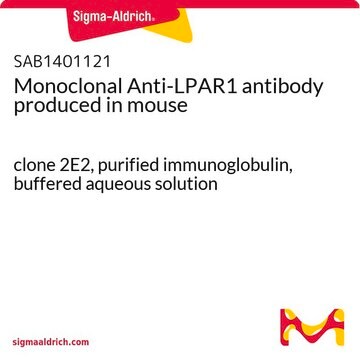 Monoclonal Anti-LPAR1 antibody produced in mouse clone 2E2, purified immunoglobulin, buffered aqueous solution