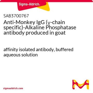 Anti-Monkey IgG (&#947;-chain specific)-Alkaline Phosphatase antibody produced in goat affinity isolated antibody, buffered aqueous solution