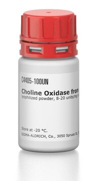 Choline Oxidase from Arthrobacter globiformis lyophilized powder, 8-20&#160;units/mg solid