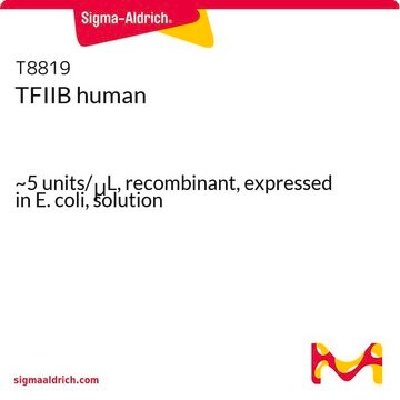 TFIIB human ~5&#160;units/&#956;L, recombinant, expressed in E. coli, solution