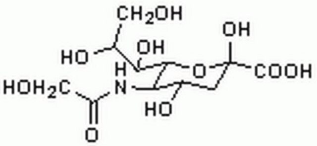 N-Glycolylneuraminic Acid Formed by the action of CMP-Neu5Ac hydroxylase. Humans are devoid of this compound due to a mutation in the human CMP-Neu5Ac hydroxylase gene that occurred after the Homo-Pan divergence.