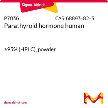 副甲状腺ホルモン ヒト &#8805;92% (HPLC), powder