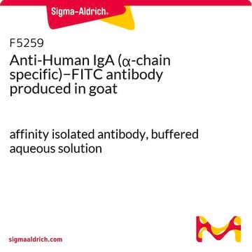 Anti-Human IgA (&#945;-chain specific)&#8722;FITC antibody produced in goat affinity isolated antibody, buffered aqueous solution