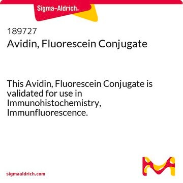 Avidin, Fluorescein Conjugate This Avidin, Fluorescein Conjugate is validated for use in Immunohistochemistry, Immunfluorescence.