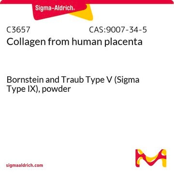 Collagen from human placenta Bornstein and Traub Type V (Sigma Type IX), powder