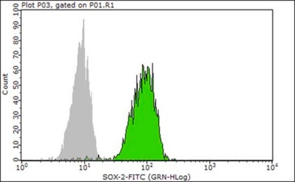 Anti-SOX-2 Antibody, clone 6G1.2, FITC conjugate clone 6G1.2, from mouse, FITC conjugate