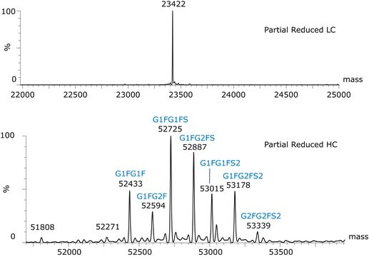 SILu&#8482;Lite SigmaMAb Cetuximab Monoclonal Antibody recombinant, expressed in CHO cells