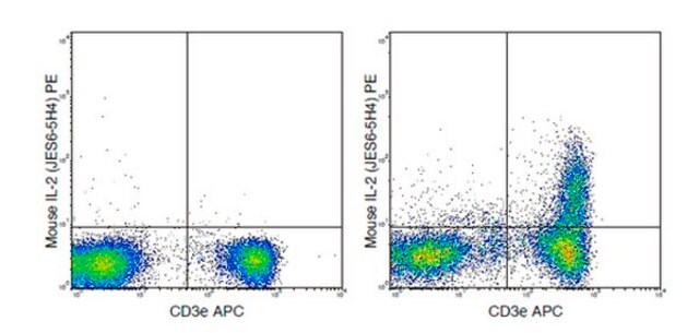 Anti-IL-2 (mouse), PE, clone JES6-5H4 Antibody clone JES6-5H4, from rat, PE