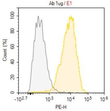 Anti-C5aR1/CD88 Antibody, clone P12/1