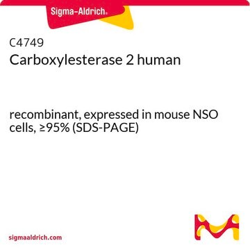 Carboxylesterase 2 human recombinant, expressed in mouse NSO cells, &#8805;95% (SDS-PAGE)