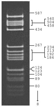 pBR322 Hae III Digest for DNA electrophoresis