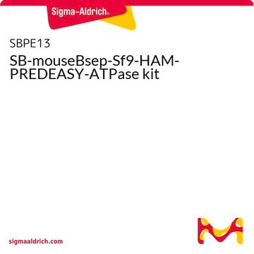 SB-mouseBsep-Sf9-HAM-PREDEASY-ATPase kit