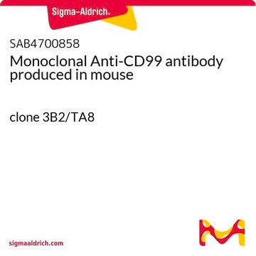 Monoclonal Anti-CD99 antibody produced in mouse clone 3B2/TA8