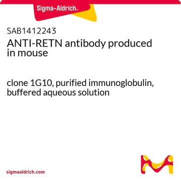 ANTI-RETN antibody produced in mouse clone 1G10, purified immunoglobulin, buffered aqueous solution