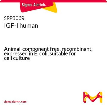 IGF-I human Animal-component free, recombinant, expressed in E. coli, suitable for cell culture